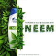 thumbnail image 4 of Head & Shoulders Neem Anti Dandruff Shampoo - 340 ML, 4 of 5