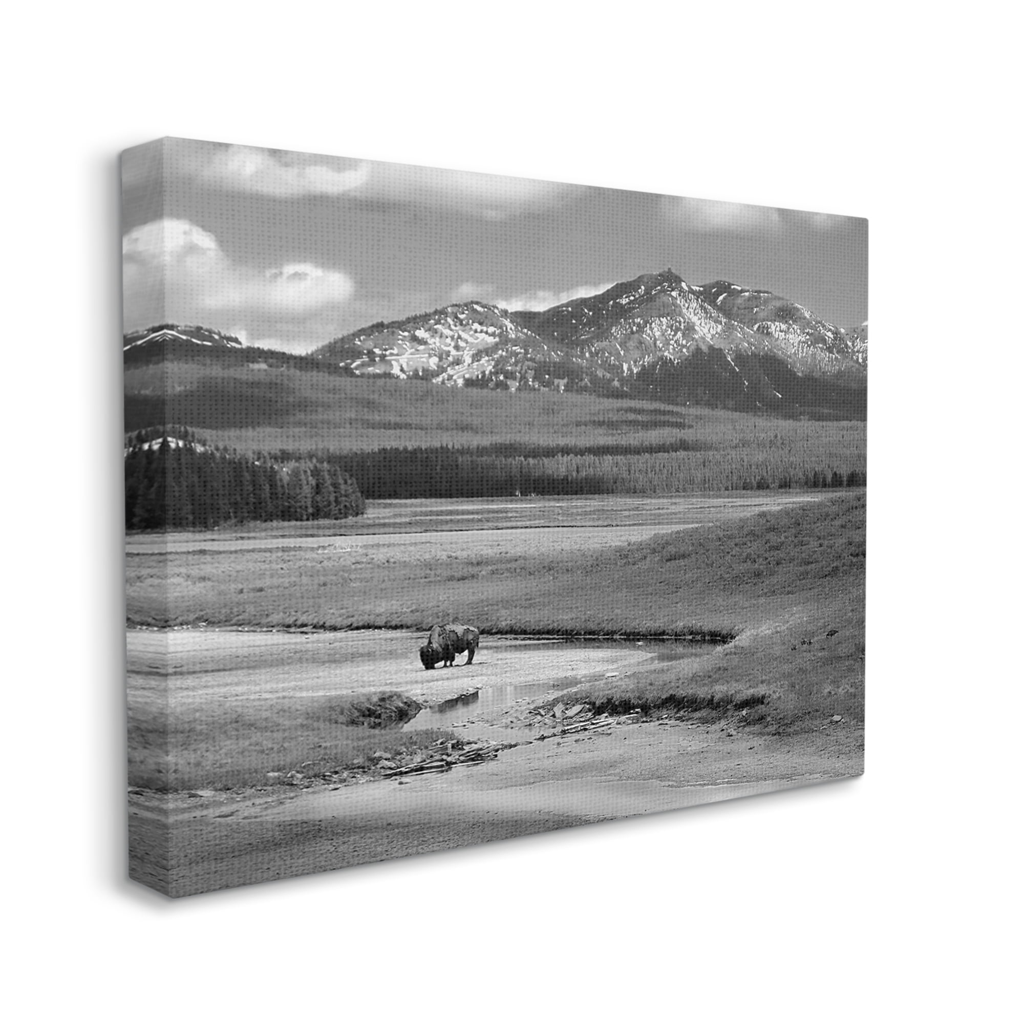 Stupell Industries Bison in Mountain Scene Landscape Photography Gallery Wrapped Canvas Art Print Wall Art, 30 x 24