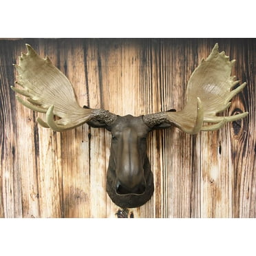 Ebros North American Bull Moose Wall Decor 24"Wide Wall Mount Plaque Sculpture