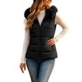 thumbnail image 3 of Ywyfzly Women's Quilted Puffer Vest with Faux Fur Collar Zip Up Sleeveless Padded Gilet with Pockets Solid Color Fall Winter Outerwear Black L, 3 of 8