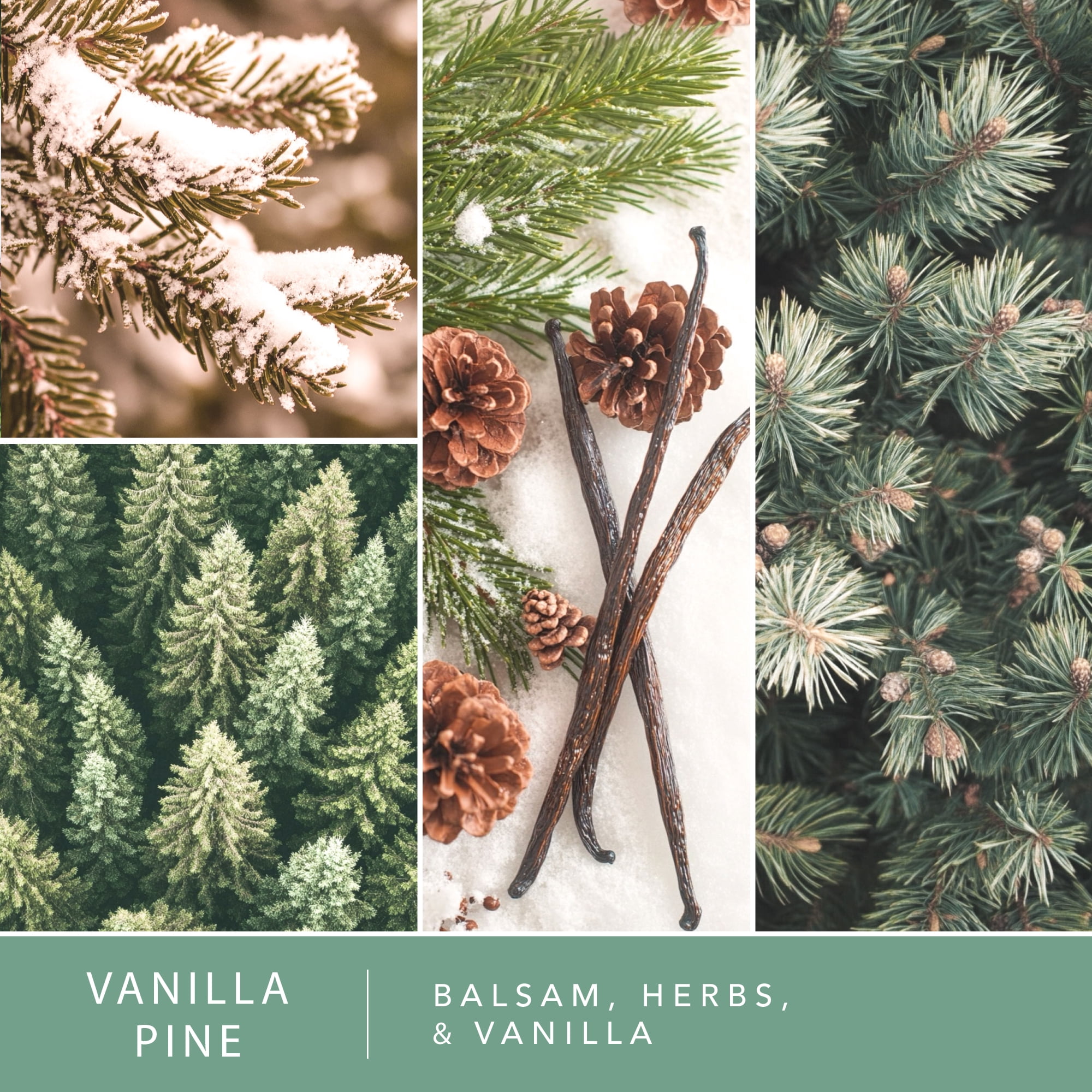 (2 pack) Vanilla Pine Scented Wax Melts, ScentSationals, 2.5 oz