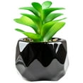 thumbnail image 1 of Artificial Succulent Plant Mini - Plastic Greenery Decoration Faux Potted Plant, 1 of 5