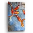 thumbnail image 1 of Epic Art 'Graceful Koi II' by Tim O'Toole, Acrylic Glass Wall Art, 12"x16", 1 of 2