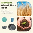 thumbnail image 6 of Homienly 40-Piece Wheat Straw Dinnerware Set, Reusable Plates, Bowls & Cups, Service for 8, Microwave & Dishwasher Safe, Nightscape, 6 of 8