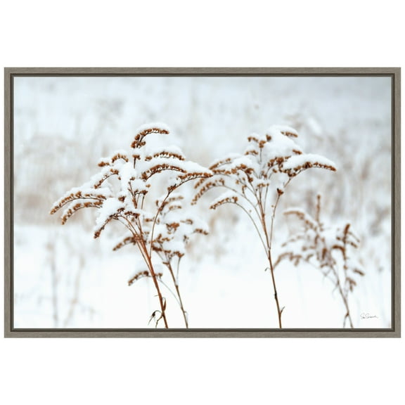 Amanti Art Snowy Gardens Framed Canvas Wall Art Print
