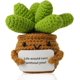 thumbnail image 1 of Plantas en macetas de ganchillo, plantas en macetas de punto creativas, mini suculentas lindas y positivas emocionalmente, adornos de muñecas de papa de vida positiva, regalos para adultos, niños, ami, 1 of 5
