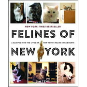 Felines of New York: A Glimpse Into the Lives of New York's Feline Inhabitants, Pre-Owned (Paperback)