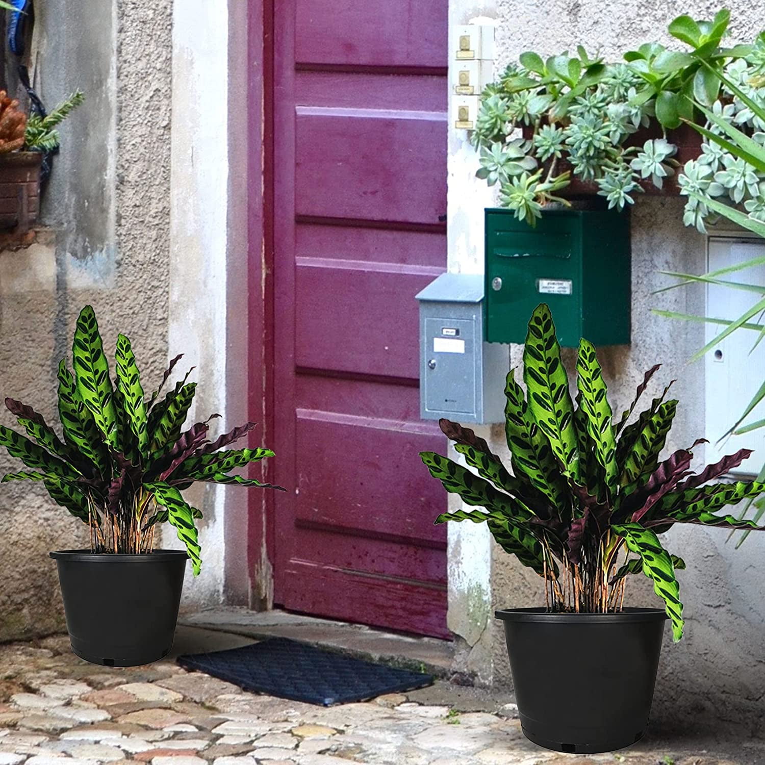 1/2/3/5/7/10/15gallon Heavy Duty Large Premium Nursery Pot Root Garden Container
