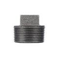 thumbnail image 1 of Plancha negra maleable Plug STZ Industries de 1-1/4 pulgadas MILP, 1 of 2