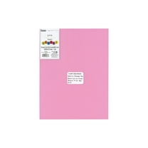 Essentials By Leisure Arts Arts Foam Sheet 9x12" 2mm Pink 15pc