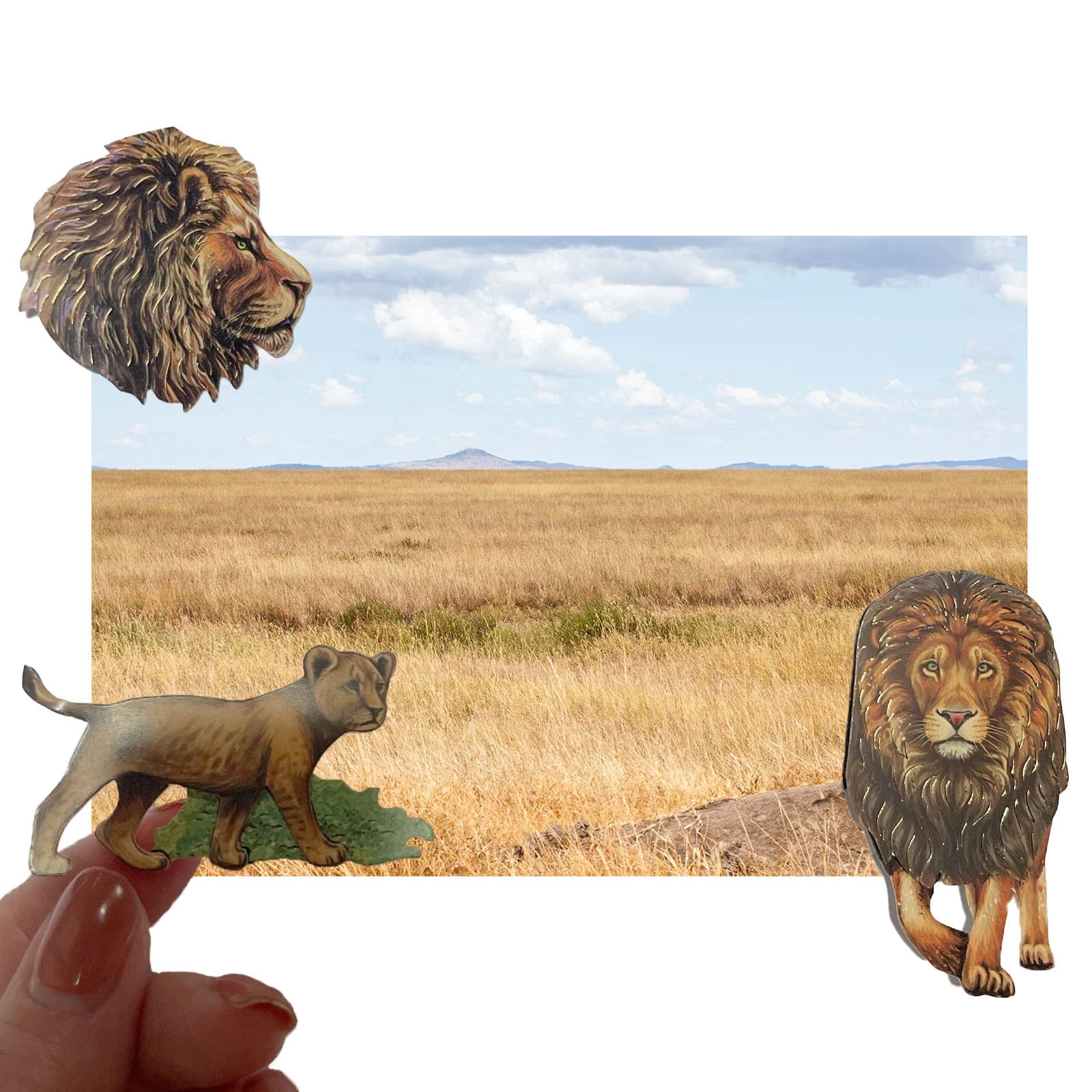 Recollections Lion Stickers, 12 Pack