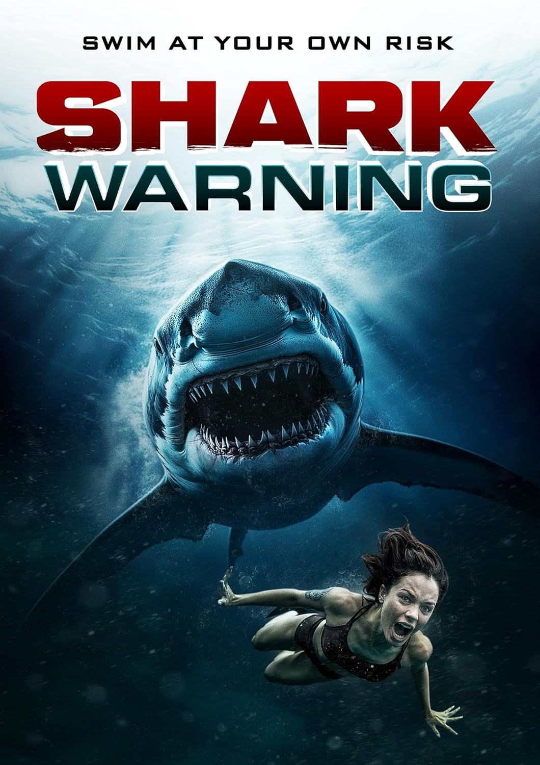 Shark Warning (DVD) - Walmart.com