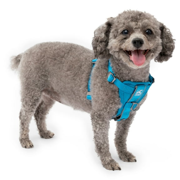Kurgo Tru-Fit Smart Harness, Dog Harness, Pet Walking Harness, Quick Release Buckles, Front D-Ring for No Pull Training, Includes Dog Seat Belt Tether (Blue, X-Small)