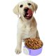 thumbnail image 4 of Cuencos de comida para perros y gatos, alimentador de acero inoxidable para mascotas, cuenco colgante 2 en 1, soporte de jaula para mascotas pequeñas, perro, gato, conejo, pájaro (púrpura) Rojo Verde Cocina, Decoración y Otros, 4 of 5