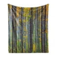 thumbnail image 1 of Fall Soft Flannel Fleece Throw Blanket, Beech Fall Tree with Tall Bodies Wilderness Rural Countryside Themed Design, Cozy Plush for Indoor and Outdoor Use, 50" x 70", Grey Yellow, by Ambesonne, 1 of 6