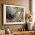 thumbnail image 4 of Banana Slug on River's Edge - Oregon Photography Nature Wilderness Wildlife Lake Botanical Woodland Insect Oak Framed Wall Art Print 12 x 18 inches, 4 of 6