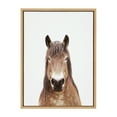 thumbnail image 3 of Kate and Laurel Sylvie Meadow Horse Portrait Framed Canvas Wall Art by Amy Peterson Art Studio, 18x24 Natural, Modern Prairie Animal Art for Wall, 3 of 7