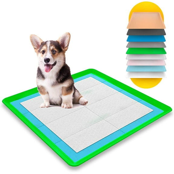 Skywin Dog Puppy Pad Holder Tray - No Spill Pee Pad Holder for Dogs - Pee Pad Holder Works with Most Training Pads, Easy to Clean and Store (Green)