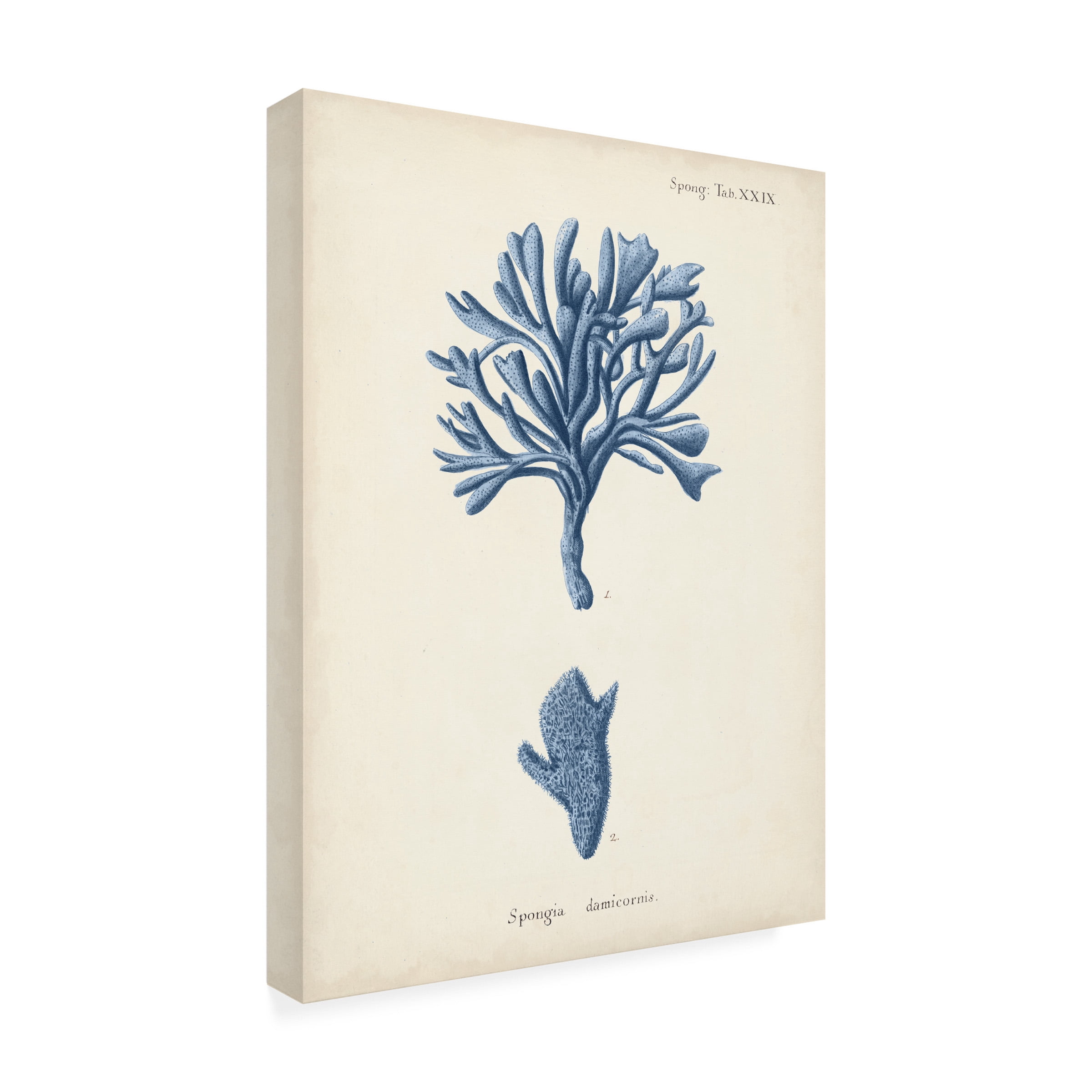 Johann Esper 'Antique Coral in Navy IV' Canvas Art