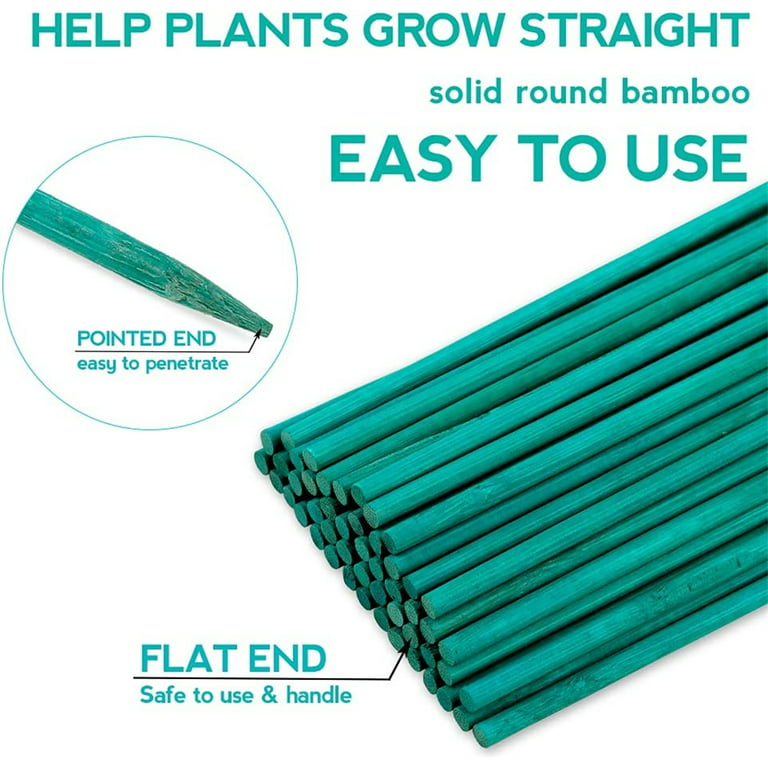 Casewin 20Pcs 40cm Green Plant Support Sticks, Bamboo Plant Stakes Split  Canes, Floral Sticks Garden Flower Sticks for Orchid Pea Vegetables Support  (15.7 Inch) 
