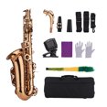 thumbnail image 3 of Eb Alto Saxophone Sax Brass Material Wind Instrument with Carry Case Gloves Cleaning Cloth Sax Straps Tuner, 3 of 7