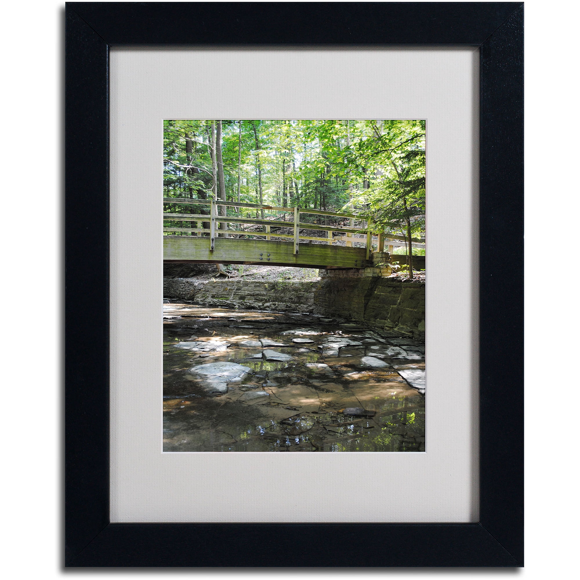 Trademark Fine Art "Amicable Escape" by Monica Fleet, Black Frame