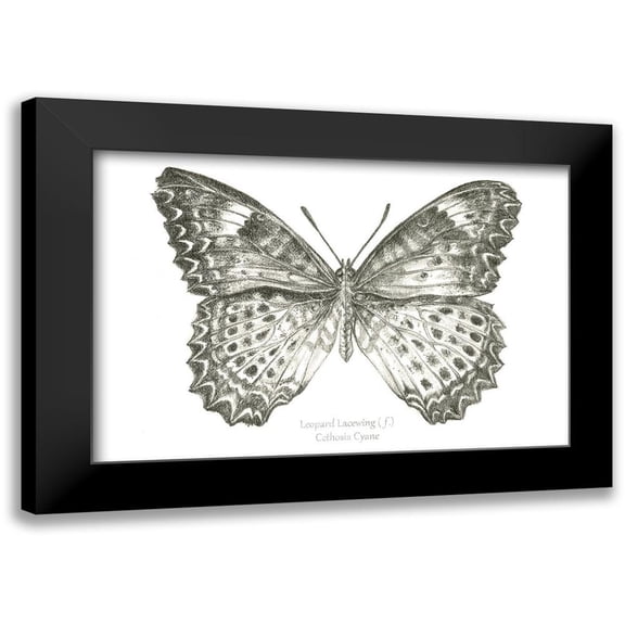Wilson, Kelsey 14x11 Black Modern Framed Museum Art Print Titled - Butterfly Sketch landscape I