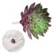 thumbnail image 3 of Uxcell Mini Suculentas Artificiales Sin Maceta Picos de Suculentas Falsas Plantas Suculentas Morado Oscuro Verde 2 Paquete, 3 of 6