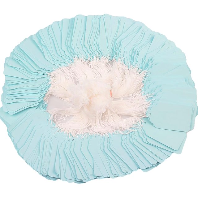 Reliable 500pcs Gift Tags with String Attached,Price Tags for Product, Arts & DIY Gift Decorations(2.75"x1.57",Pale Blue) ensuring long - lasting use
