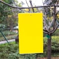 thumbnail image 5 of 20 Pack Yellow Sticky Traps for Fruit Flies, Gnats, and Insects - 6x8 Inch Double-Sided Bug Glue Traps for Indoor/Outdoor Plants, Garden, Greenhouse - Non-Toxic Pest Control, 5 of 7