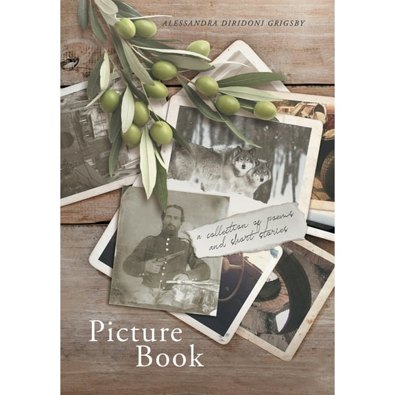 Picture Book, (Hardcover)