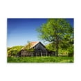 thumbnail image 2 of Gango Home Decor Old Backyard Barn by Alan Hausenflock (Printed on Paper); One 36x24in Fine Art Paper Giclee Print, 2 of 4
