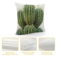 thumbnail image 4 of Fenyluxe Summer Style Tropical Succulent Plants Green Cactus Home Bed Decor Throw Pillow Cases Prickly&nbsp;Pear Pattern Super Soft Square Pillowslip (Prickly&nbsp;Pear) 22x22in, 4 of 5