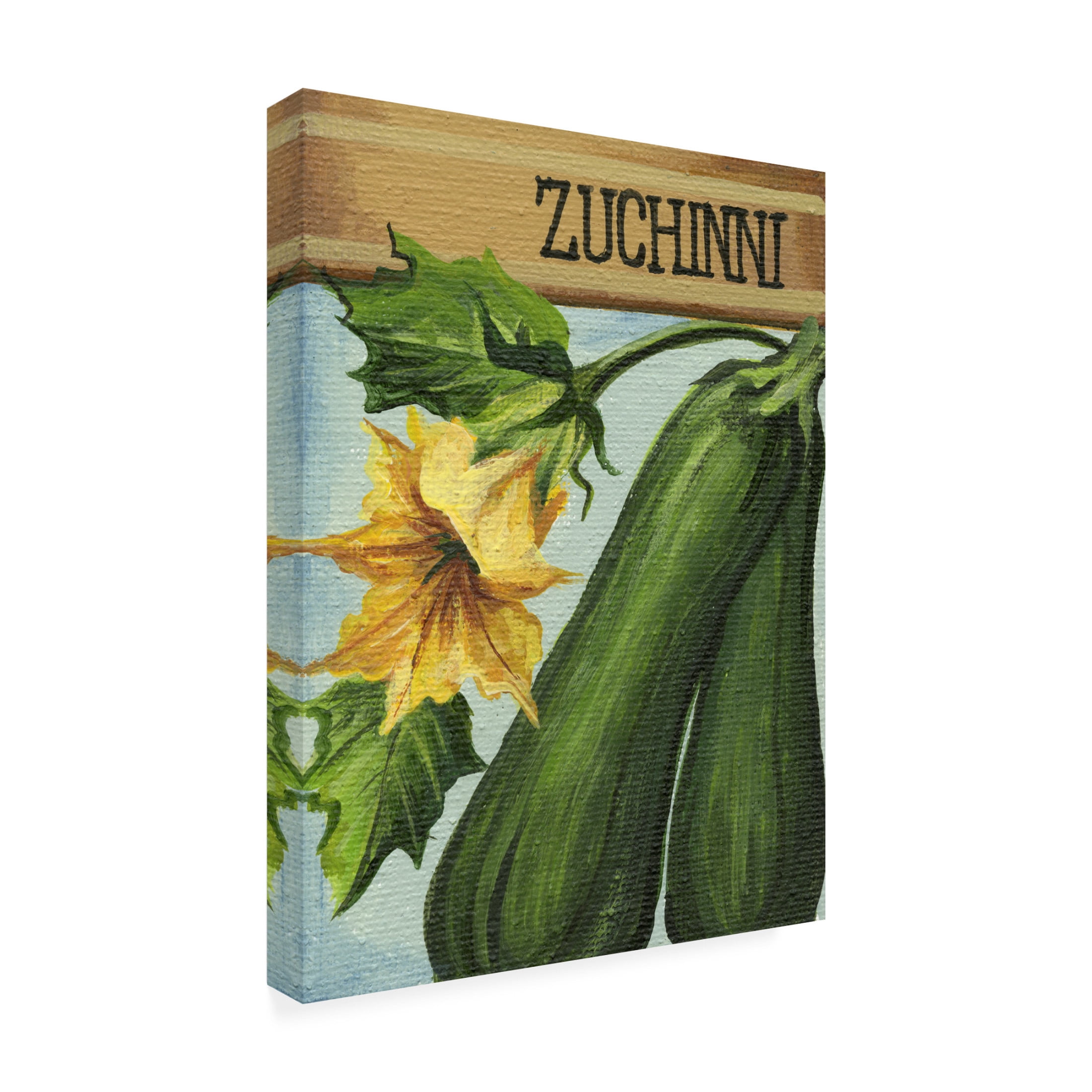Canvas Wall Art - Debbi Wetzel 'Seed Packets 19 - Zuchinni' Wall Art for Living Room, Bedroom, or Office Décor by Trademark Fine Art - 35 x 47 Inches