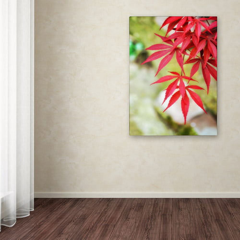 Trademark Fine Art "Japanese Maple" Canvas Art by Philippe Sainte-Laudy