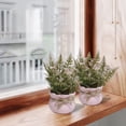 thumbnail image 6 of Mini Potted Plant Artificial Fern Plant Artificial Fern Plant Mini Potted Simulated Greenery Faux Fiddle Leaf Fig Style in Pink Pot Home Office Desk Shelf Decor Photography Prop Staging Background, 6 of 7