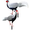 thumbnail image 4 of 2pcs Realistic Acrylic Pheasant Stakes for Lawn Garden Decoration Durable Outdoor Art for Farmhouse Rustic Style, 4 of 5