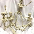 thumbnail image 2 of 2 Pack Halloween Skeleton 16 Inch Bride And Groom  Full Body Skeleton With Movable Joints For Halloween Spooky Party Decoration, 2 of 7