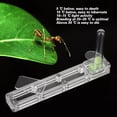 thumbnail image 4 of Acrylic Ants Breeding Transparent Breeding Box, Formicarium Display Box Ant Breeding Box Acrylic Ant Breeding Ant Farm House Ant Display Box, 4 of 7