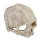 thumbnail image 5 of Estatua De Calavera Decoración De Estatua De Calavera, Estatua De Calavera De Forma Exquisita, Cueva Para Mascotas Para Pecera De Acuario Fugacal Skull Statue, 5 of 8