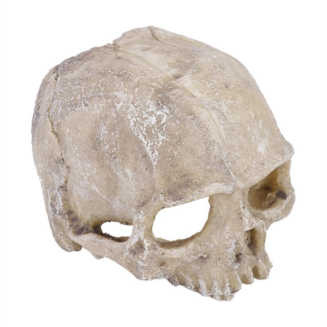 Skull Statue Skull Statue, Skull Statue Decor, Highly Simulated Elegant Fish For Aquarium