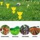 thumbnail image 3 of Tablero adhesivo impermeable Fly Traps Bugs Insects Killer Sticker (Tulipán) 10 piezas, 3 of 5