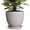 Grey, variant on Ordivic 6 inch Mint Green Ceramic Planter with Drainage & Saucer, Round Pot for Baby Tears & Ferns, Kitchen Windowsill Herb Garden Decor, Gift