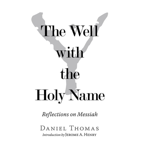 The Well with the Holy Name (Hardcover)