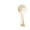 Beige, variant on Non Stick Rice Paddle Scoop Plastic Rice Spoon, 7.5in Large Capacity Rice Server with Egg Yolk Separator Function Press Button Design for Rice Cooker Kitchen Serving Spoon Tool(Beige)