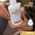 thumbnail image 2 of Maxler Liquid Chlorophyll - Mint Flavor 15.2 fl oz (15 Servings), 2 of 6