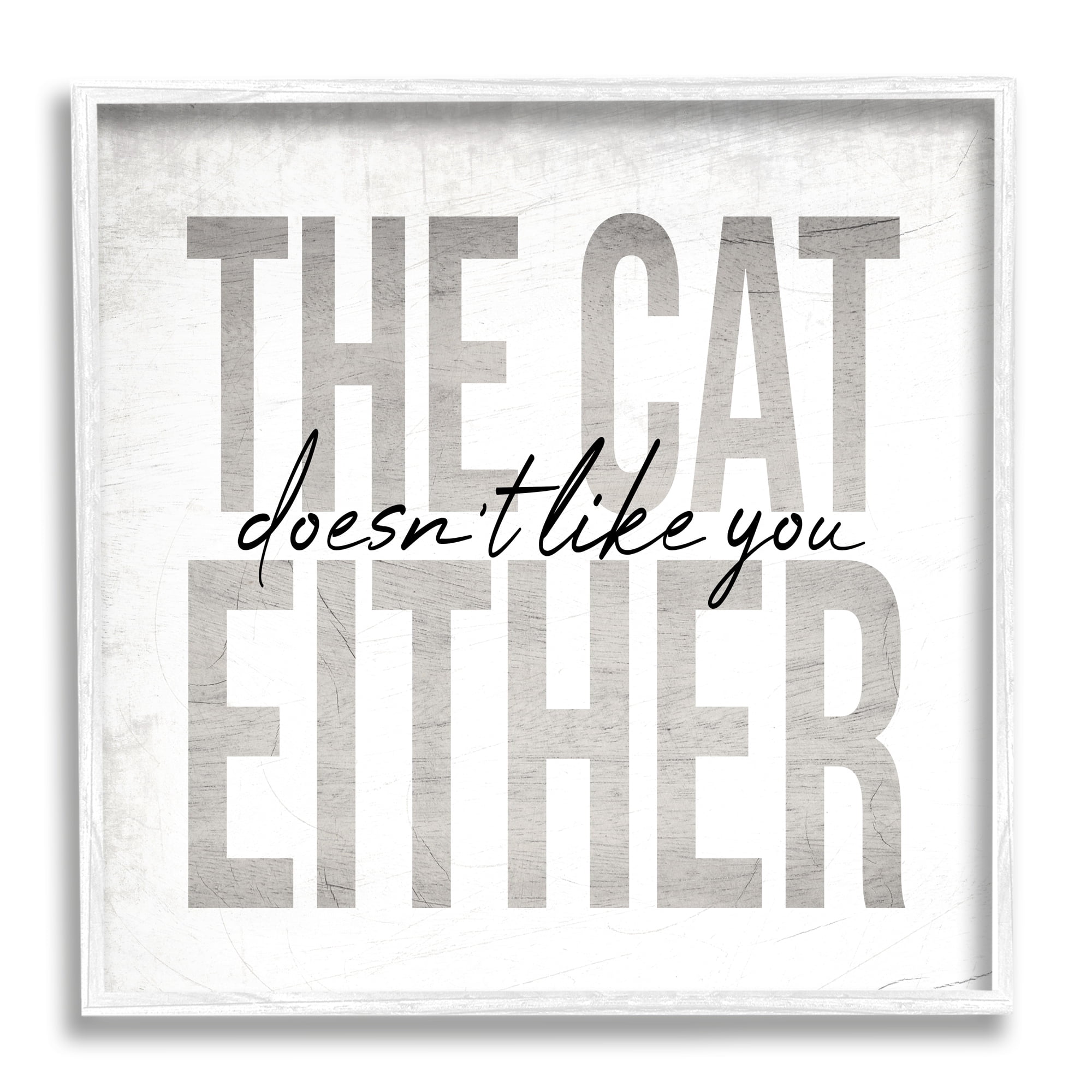 Stupell Industries The Cat Doesn't Like You Either Pet Phrase, 24 x 24, Design by Daphne Polselli