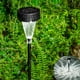 thumbnail image 1 of Focos solares Pack de 4 exteriores • IP65 impermeables • LED blanco frío • Luces solares de jardín para jardín y patio, 1 of 9