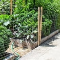 thumbnail image 4 of Fencer Wire Rabbit Guard Fence, 16 Gauge Galvanized Welded Wire Fence for Preventing Rabbits, Dogs, Cats, Chickens, and Other Small Animals from Damaging The Garden (40 in. x 50 ft.), 4 of 7