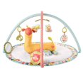 thumbnail image 1 of Fisher-Price Go Wild Gym & Giraffe Wedge, 1 of 8